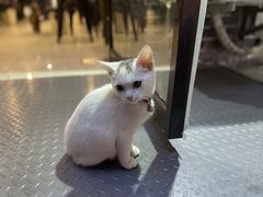 -2烧烤串·秘制鲫鱼