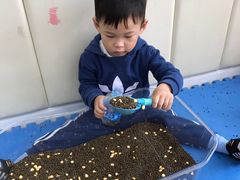 -早期教育指导中心