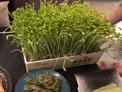 -湊湊火锅·茶憩(打浦桥日月光店)