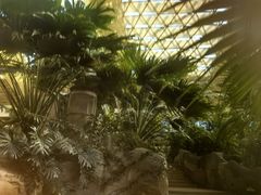 -杭州开元森泊度假乐园