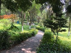 -重庆平顶山公园