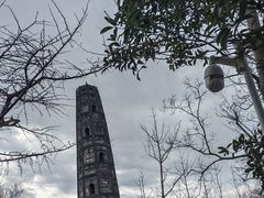 -上海佘山国家森林公园天马山园