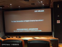 -华美国际影城(旧宫永辉店)