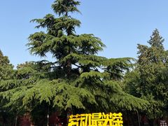 -北京市劳动人民文化宫(太庙)