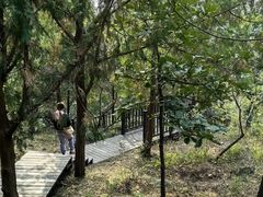 -北京十三陵国家森林公园蟒山景区