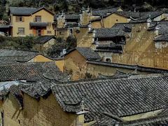 -杨家堂村