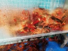 -食客堂麻婆豆腐专门店