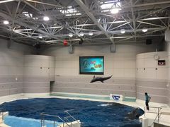 -鹿儿岛水族馆