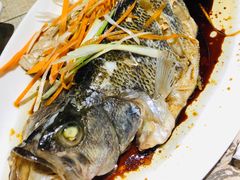 清蒸鲈鱼-老边饺子(彩虹城店)