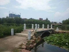 -前关湿地公园