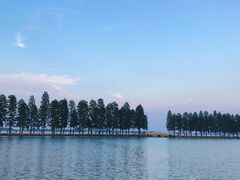 -亢龙太子酒轩(东湖店)