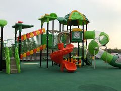 -上海崇明金茂凯悦酒店