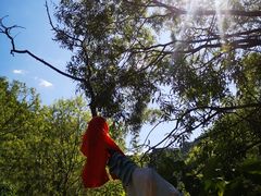 -碓臼峪自然风景区