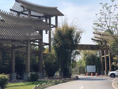 -桤木河湿地公园