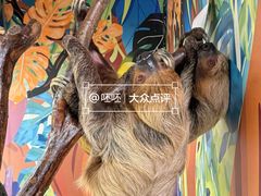 -正佳雨林生态植物园