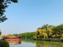 -大湾区中央湿地公园