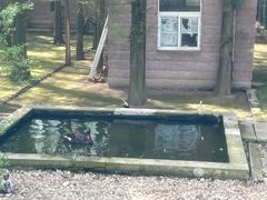 -南京金牛湖风景区