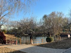 -燕郊植物园