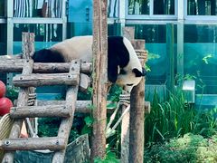 -大连森林动物园