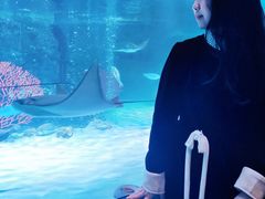 -沈阳海洋探索中心