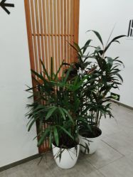 -和颜一美轻医美连锁