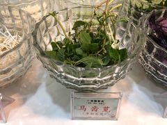 -众善素食(佛平五路店)