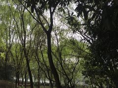 -西安汉城湖景区