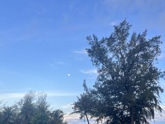 -玫瑰海岸文化旅游度假区