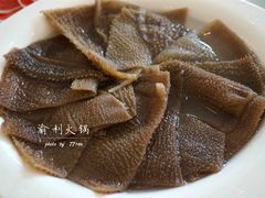 空运绿色毛肚-渝利重庆火锅