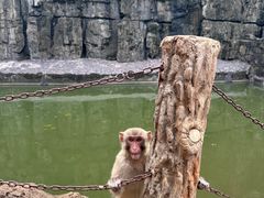 -海南热带野生动植物园