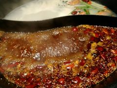 -小牛海记潮汕牛肉店(永定路店)