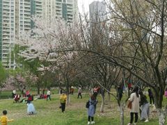 -西北湖绿化广场