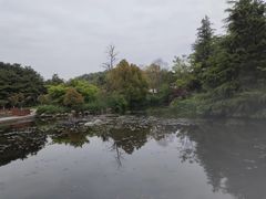 -白马涧龙池景区