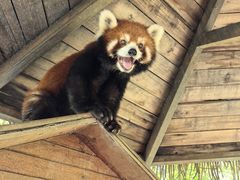 -常州淹城野生动物世界