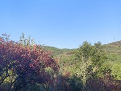 -北京西山国家森林公园