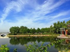 -大兴滨河森林公园