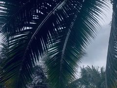 -白沙门生态公园