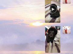 -联合动物医院(光谷诊疗中心)
