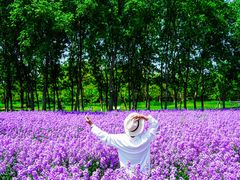 -江苏三台山国家森林公园