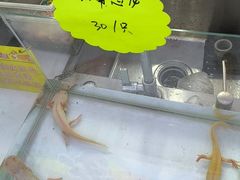 -大学城夜市