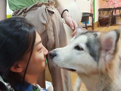 -李小姐の猫咖啡馆(五角场店)