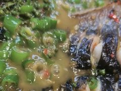 -鱼酷活鱼烤鱼(沈阳大悦城店)