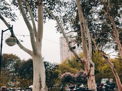 -李公堤