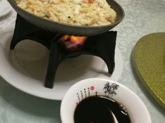 -丁老爷子苏香圆