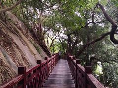 -乌山风景区