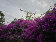 -万峰林风景区