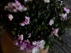 -长江路历史文化街区