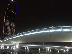 -演武大桥观景平台