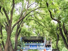 -北京国子监胡同