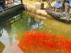 -白马涧龙池景区